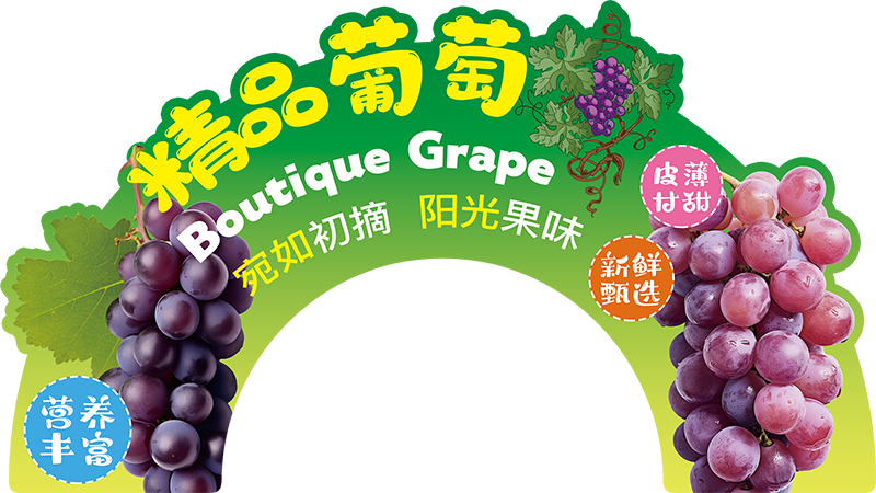 展板