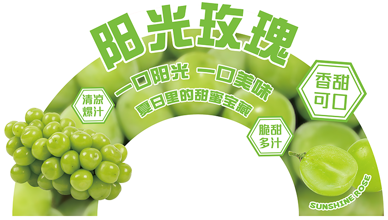 展板