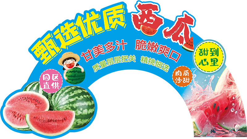 展板