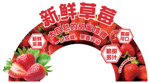 展板