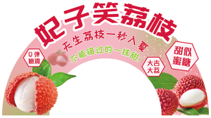 展板