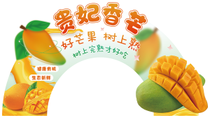 展板