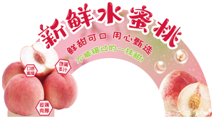 展板