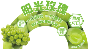 展板