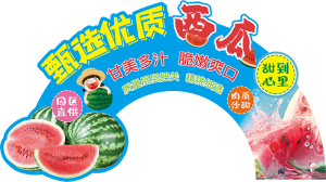 展板