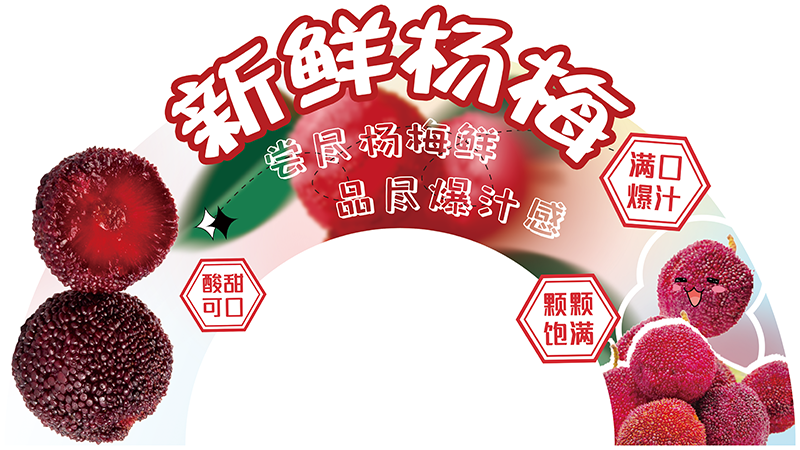 展板