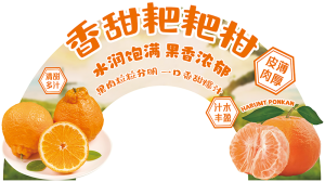 展板