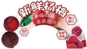 展板