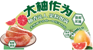 展板